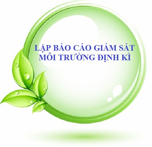 Hướng dẫn điền báo cáo giám sát môi trường định kỳ