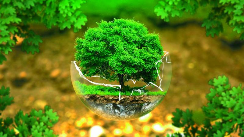 Điều kiện cần có khi làm báo cáo đánh giá tác động môi trường
