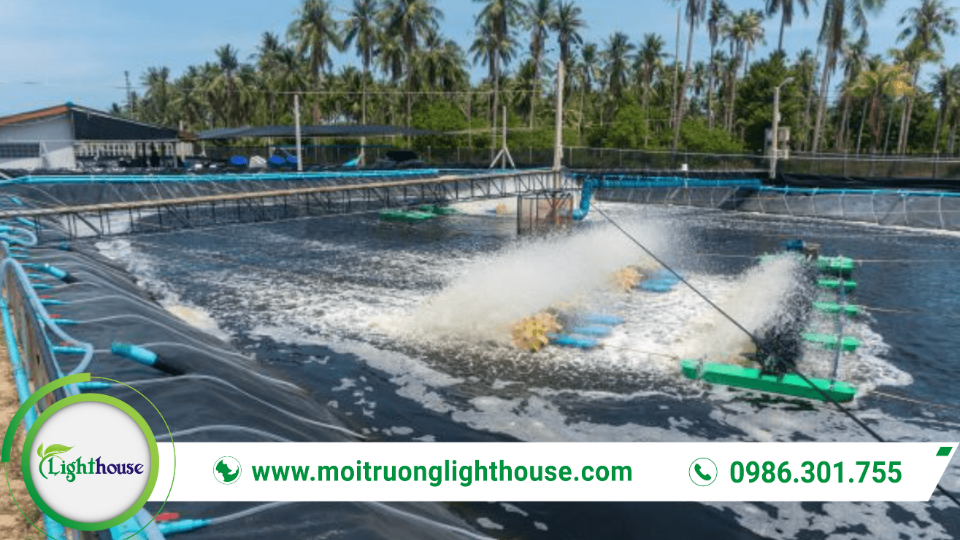 Quan trắc môi trường nước: Hướng dẫn &amp; Thông tin chi tiết