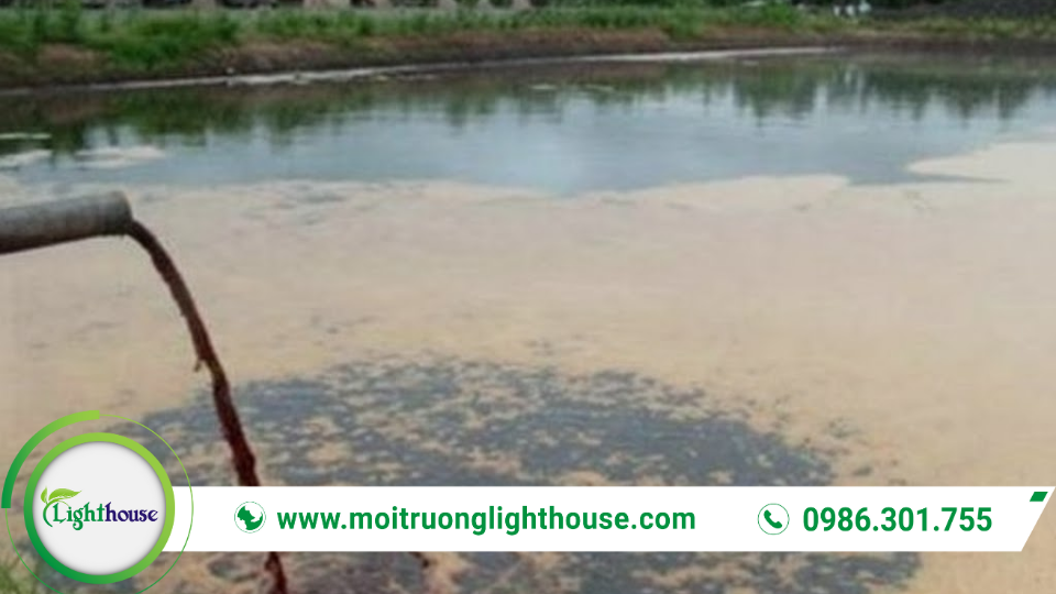 Hóa chất xử lý nước thải: Giới thiệu, Ứng dụng & Lựa chọn 3 Hồ sinh học sau xử lý kết hợp hóa chất xử lý nước thải để tăng hiệu quả lắng cặn và giảm chất hữu cơ trước khi xả thải.