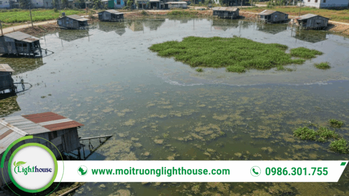 Hiện trạng ao nước thải ô nhiễm cần áp dụng công nghệ xử lý nước thải ao hiệu quả
