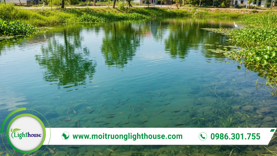 Công nghệ xử lý nước thải ao: Giải pháp tối ưu cho môi trường 3 Ao nước sau xử lý đạt chất lượng nhờ công nghệ xử lý nước thải ao tiên tiến.