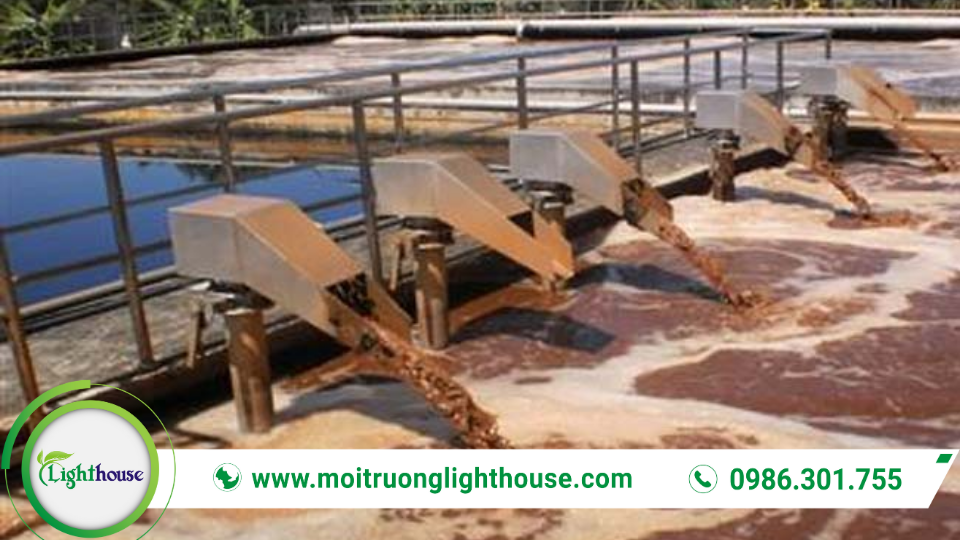 Bùn Vi Sinh Xử Lý Nước Thải: Hiệu Quả Chi Phí