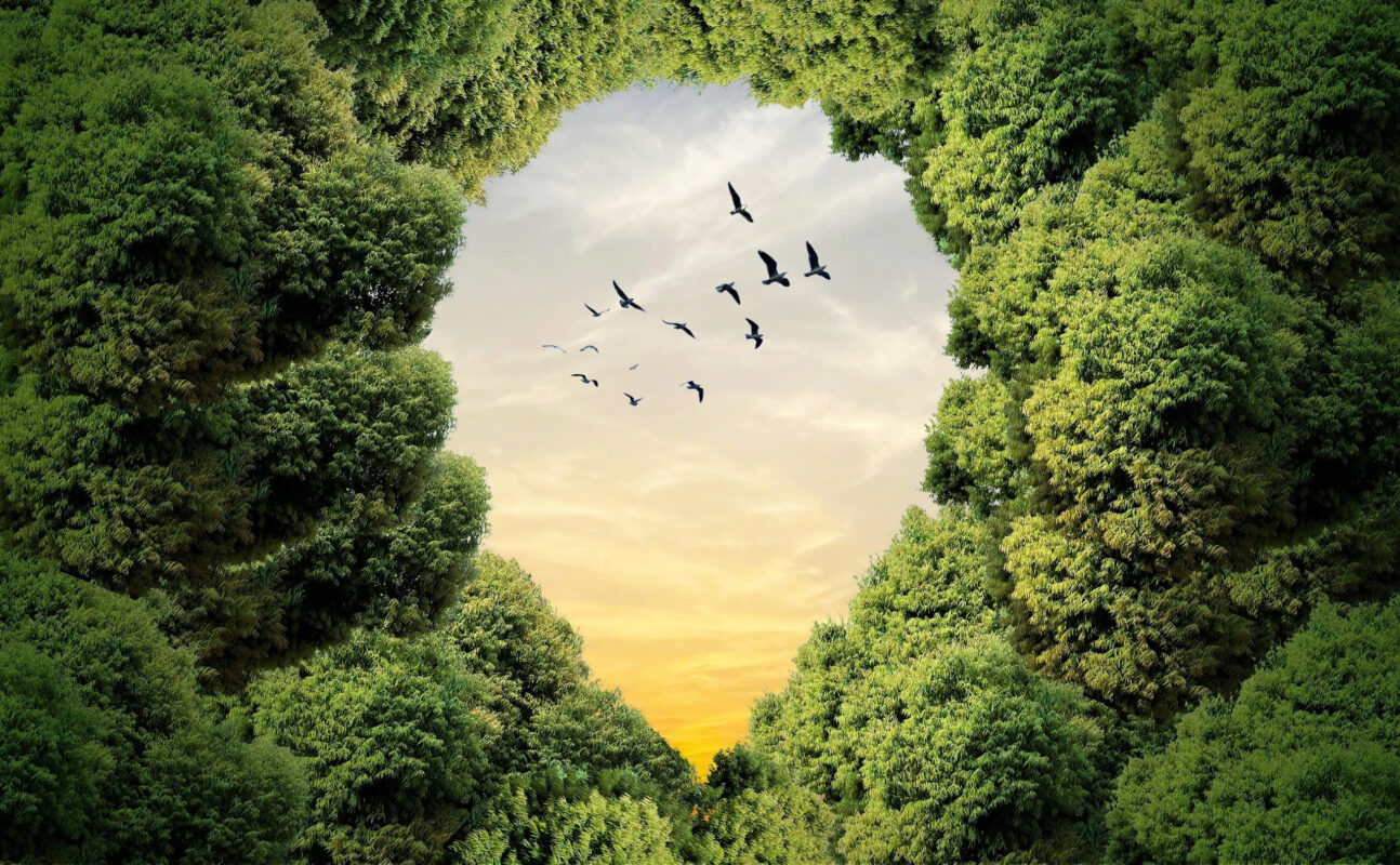 z6764055411810 a836a03f25da2b7ee7b6821a711898f0 1