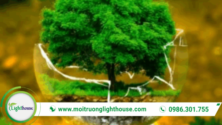 Phát triển kinh tế tư nhân gắn với tăng trưởng xanh và bảo vệ môi trường