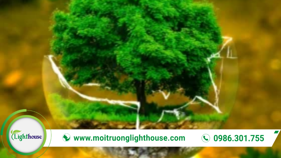 Phát triển kinh tế tư nhân gắn với tăng trưởng xanh và bảo vệ môi trường